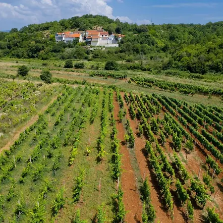 ヴィラ Old House - Makarska By Guide *